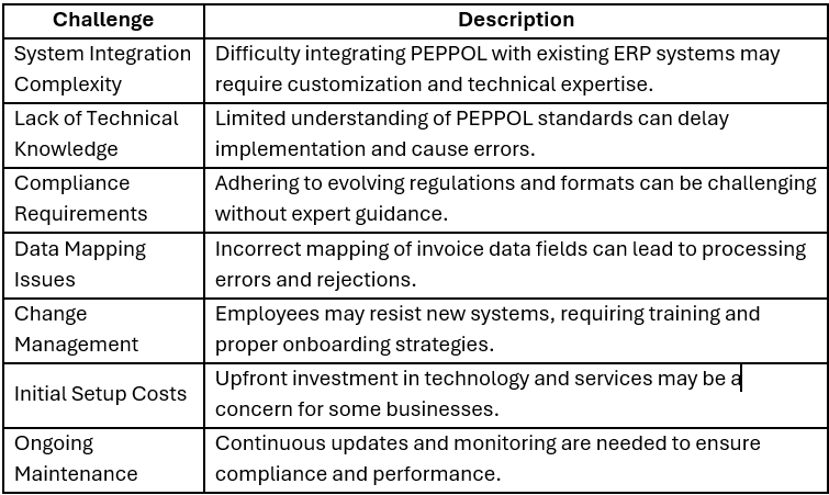 Common Challenges in PEPPOL Implementation