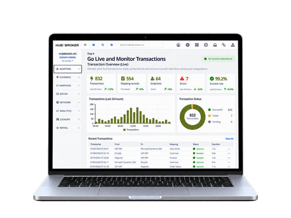Go Live and Monitor Transactions