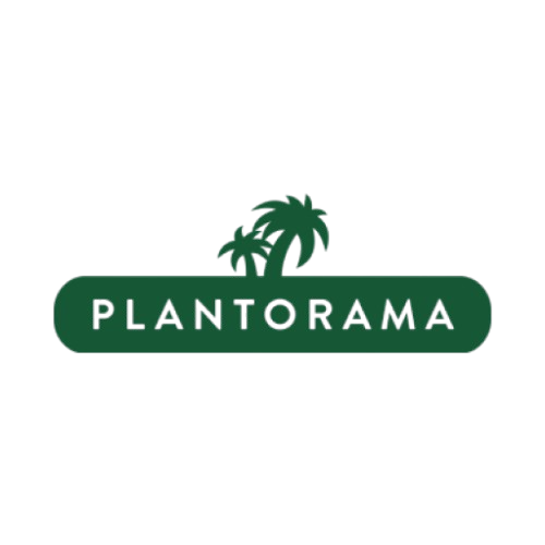 PLANTORAMA_logo-removebg-preview 1.png