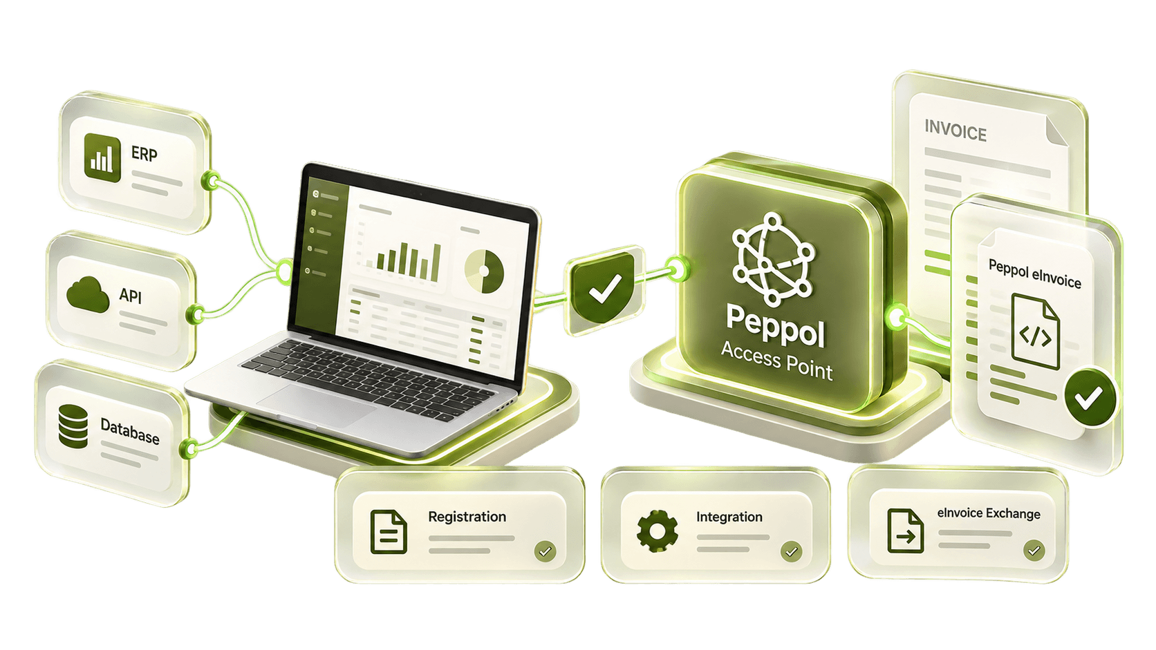 ERP and Peppol integration.