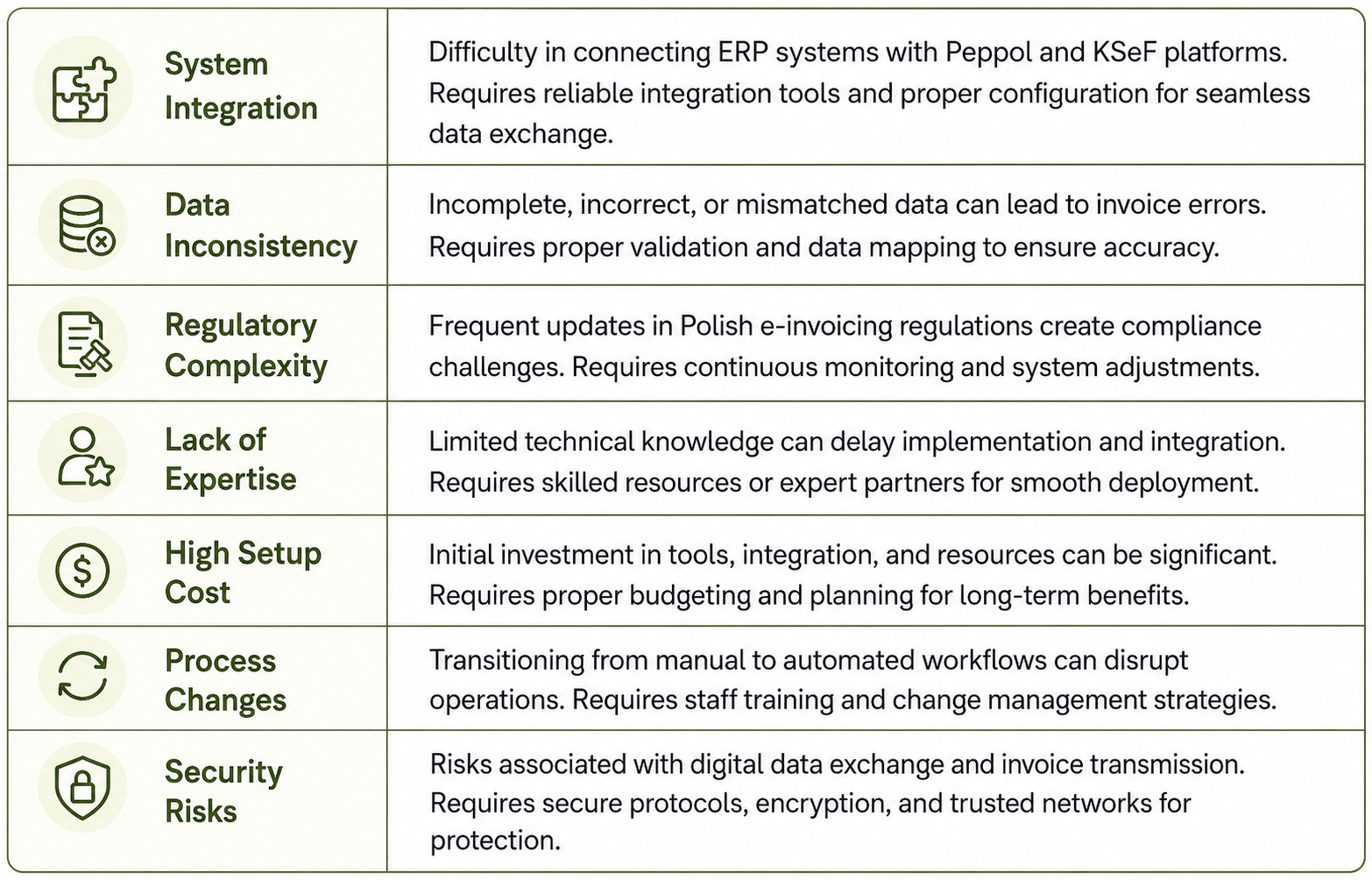challenges faced during Peppol e-invoicing setup in Poland